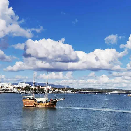 Gato, Charming Portuguese Style For Rent, Vida A Portuguesa Apartman *