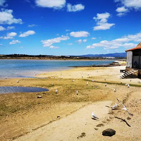 Gato, Charming Portuguese Style For Rent, Vida A Portuguesa *