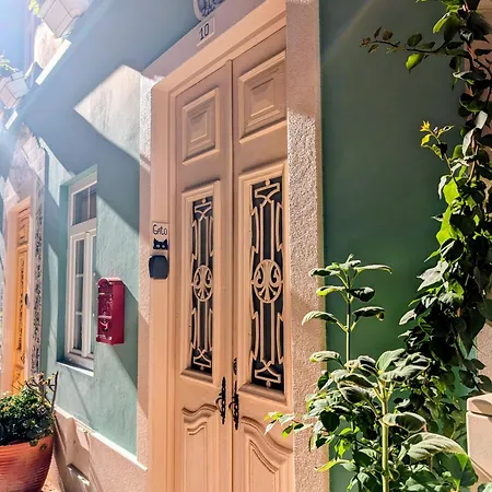 Gato, Charming Portuguese Style For Rent, Vida A Portuguesa Портиман