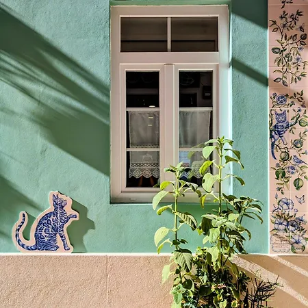 'gato', Charming Portuguese Style For Rent, 'vida A Portuguesa' Apartment