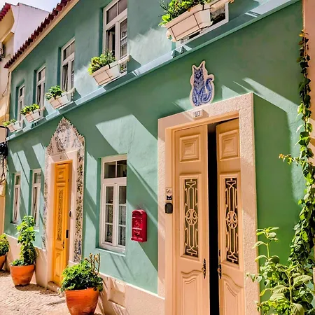 'gato', Charming Portuguese Style For Rent, 'vida A Portuguesa' Apartment