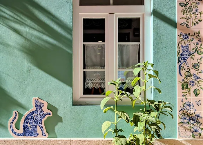 Gato, Charming Portuguese Style For Rent, Vida A Portuguesa شقة