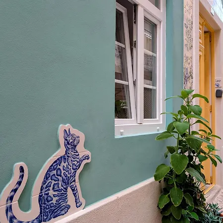 Gato, Charming Portuguese Style For Rent, Vida A Portuguesa 아파트 포티마오